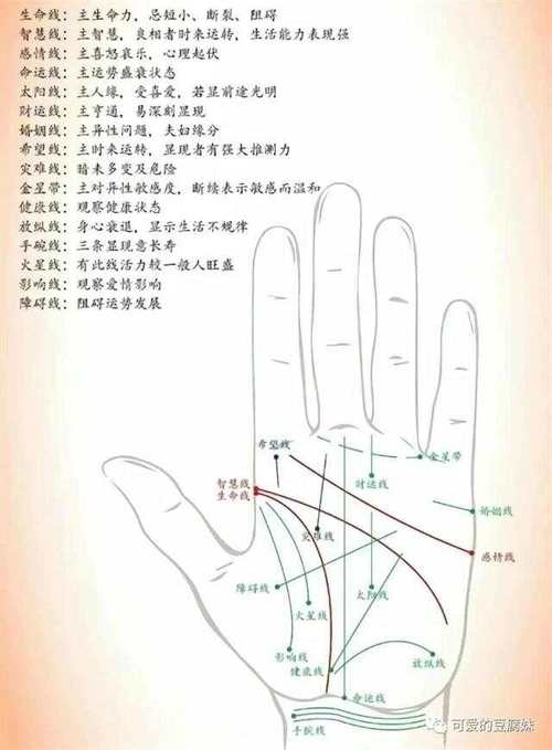 男人的生命线，探索男性健康与生命力的奥秘插图