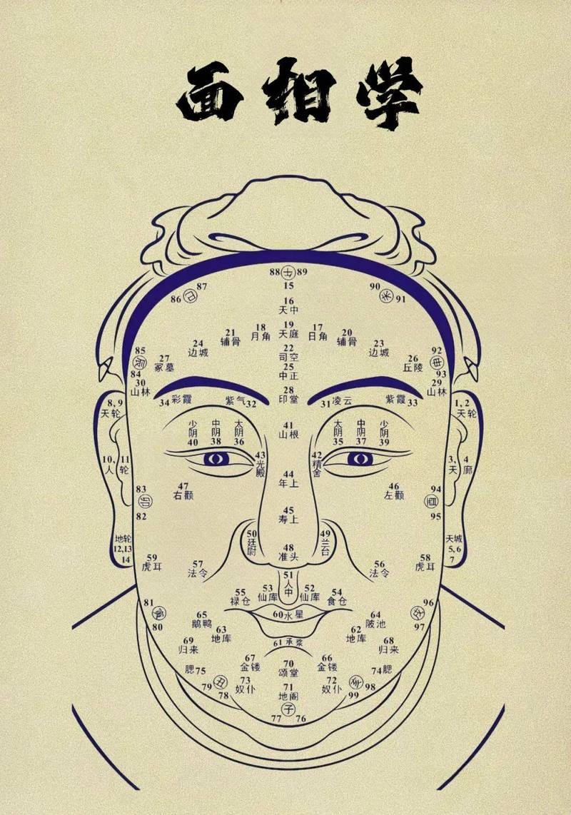 男人面相图解，从面相看性格与命运插图