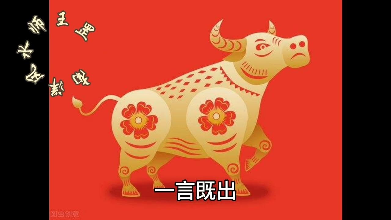 稳如泰山打一生肖—探究生肖牛的精神特质插图