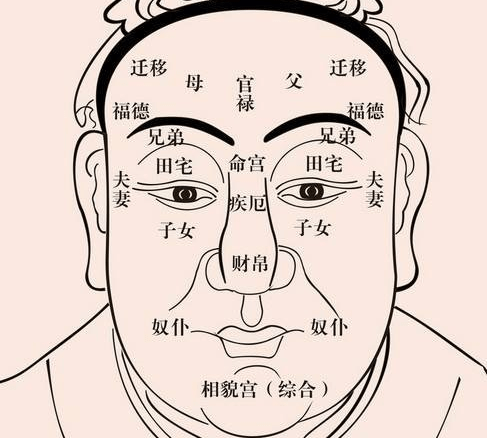 男人额头面相,揭示性格与命运的秘密插图 男人额头面相,揭示性格与命运的秘密插图