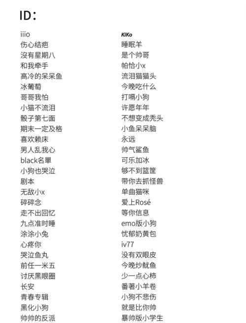 男生个性网名大全，独特、时尚、潮流的命名指南插图