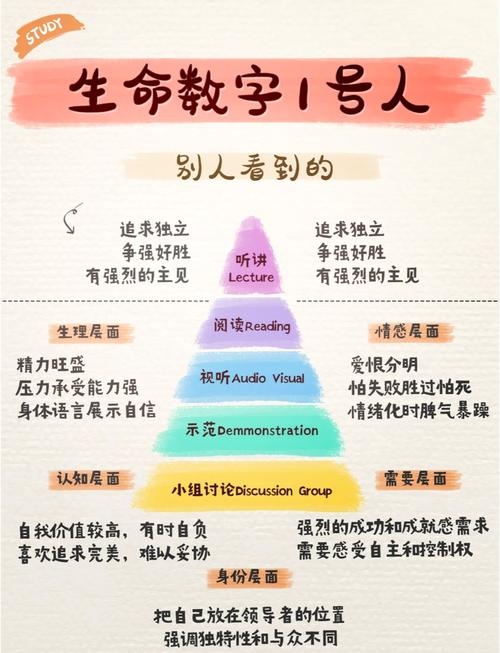 测试你的寿命，探索生命奥秘的旅程插图