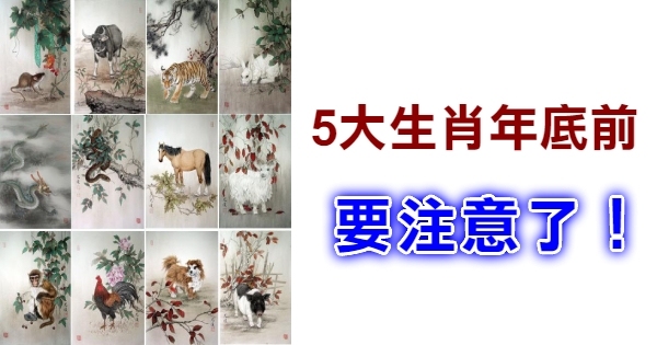 锦上添花之生肖解析插图