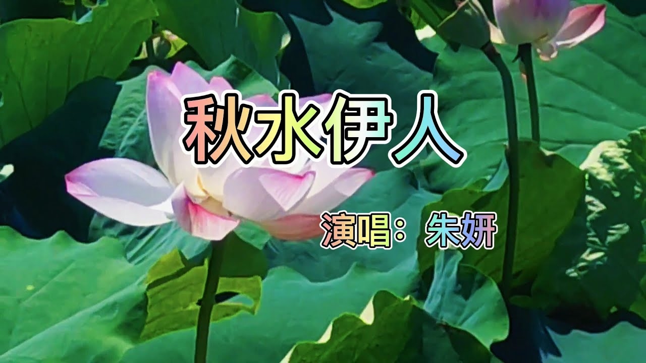 秋水伊人与生肖之谜插图