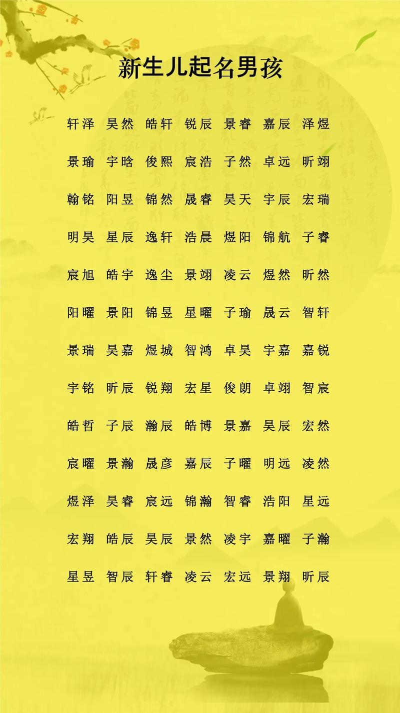 谢氏男宝起名大全，寓意智慧与前程的精选名字插图
