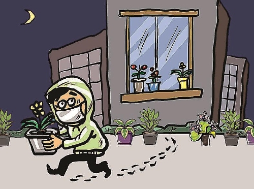 顺手牵羊偷东西与生肖的关联探讨插图