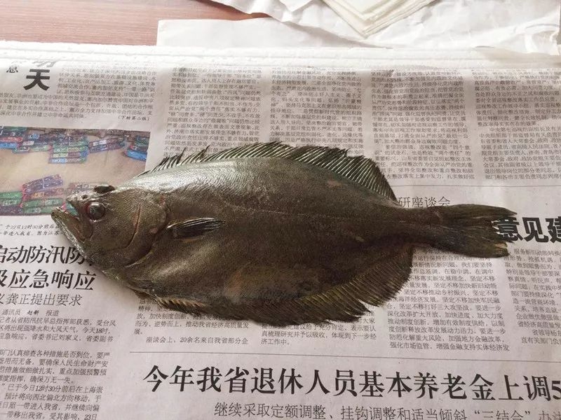 秀水之秘，探寻鱼虾共舞的生肖之谜插图