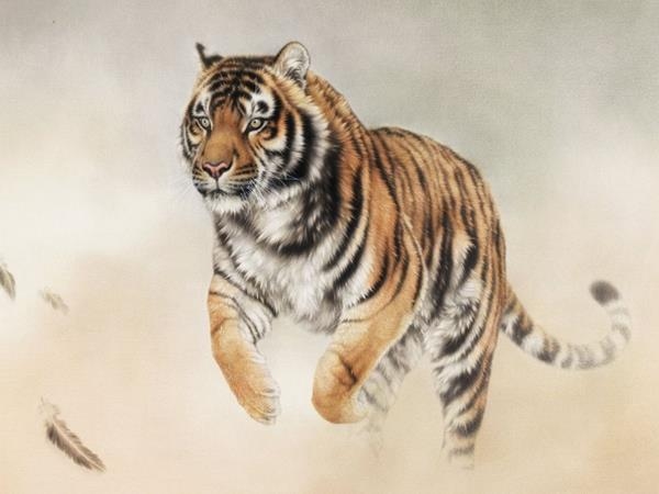 顶天立地猜一生肖—探寻生肖之虎的独特魅力插图