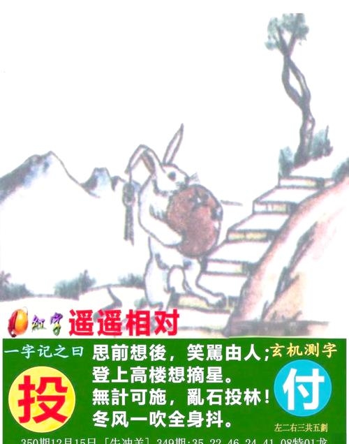 野外风光与生肖之谜插图