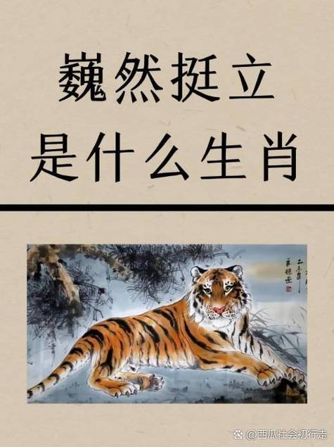 舍我其谁—生肖之领袖气质的象征插图 舍我其谁—生肖之领袖气质的象征插图