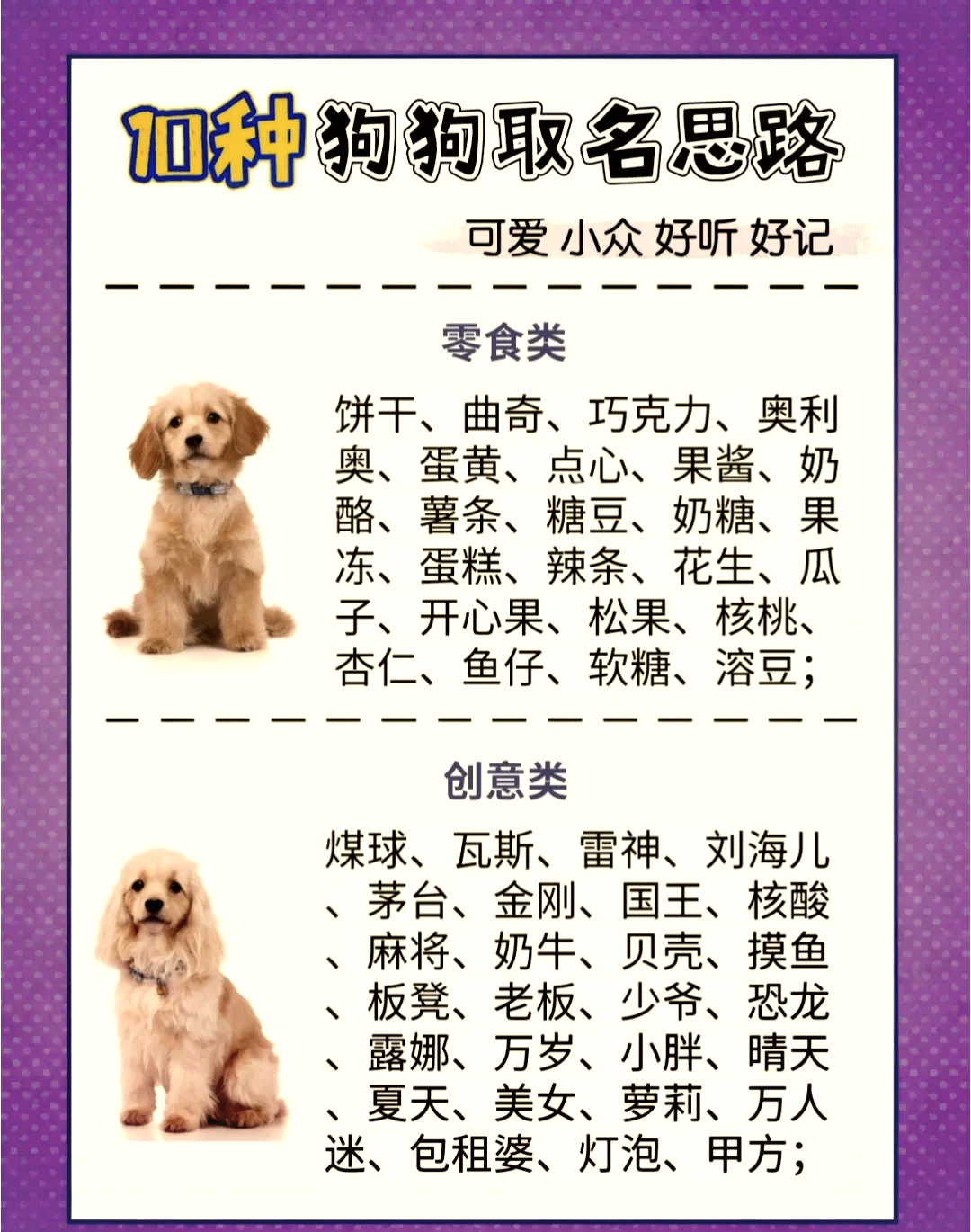 宠物狗好听名字推荐插图