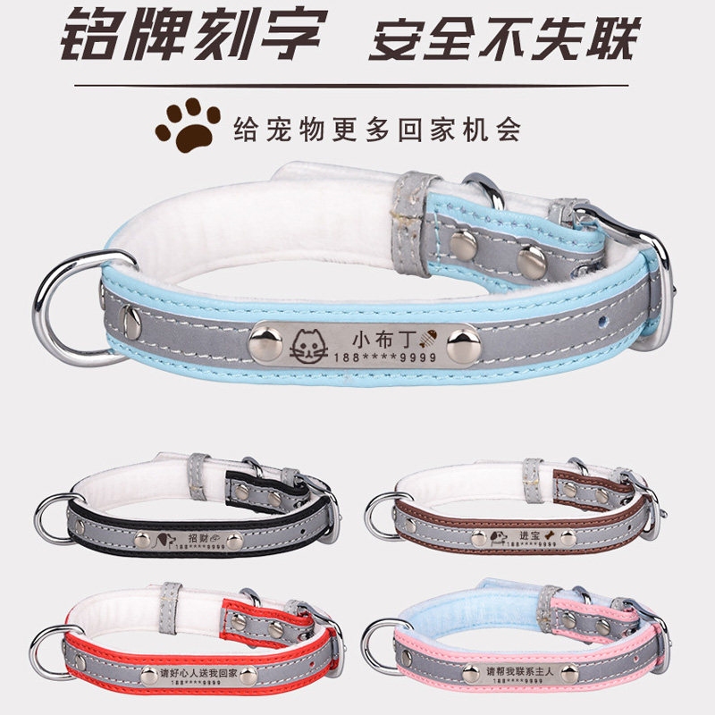 宠物狗名字大全，亲昵好记，增强主宠互动插图