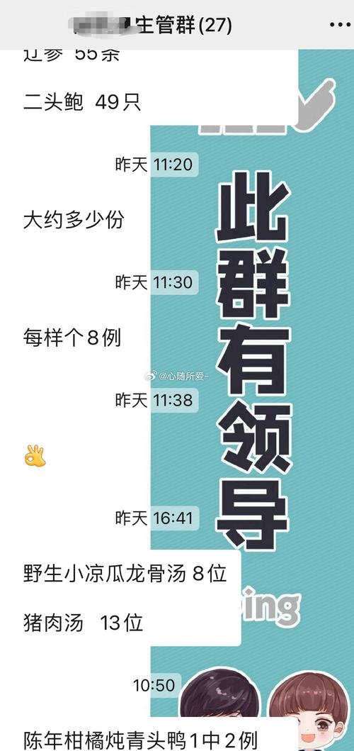 纯文字聊天室，经典回归，安全交流插图