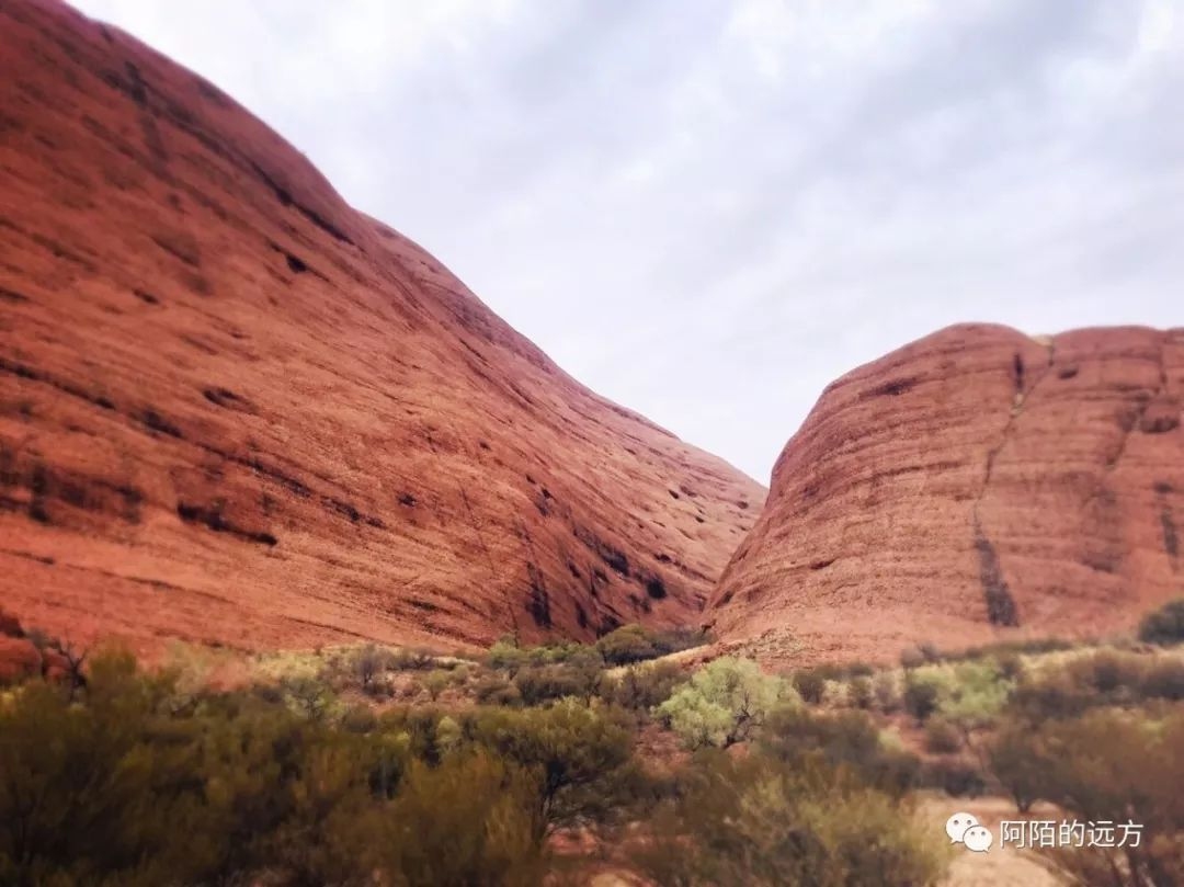 玖玖爱精品视频，探索这片神秘土地插图