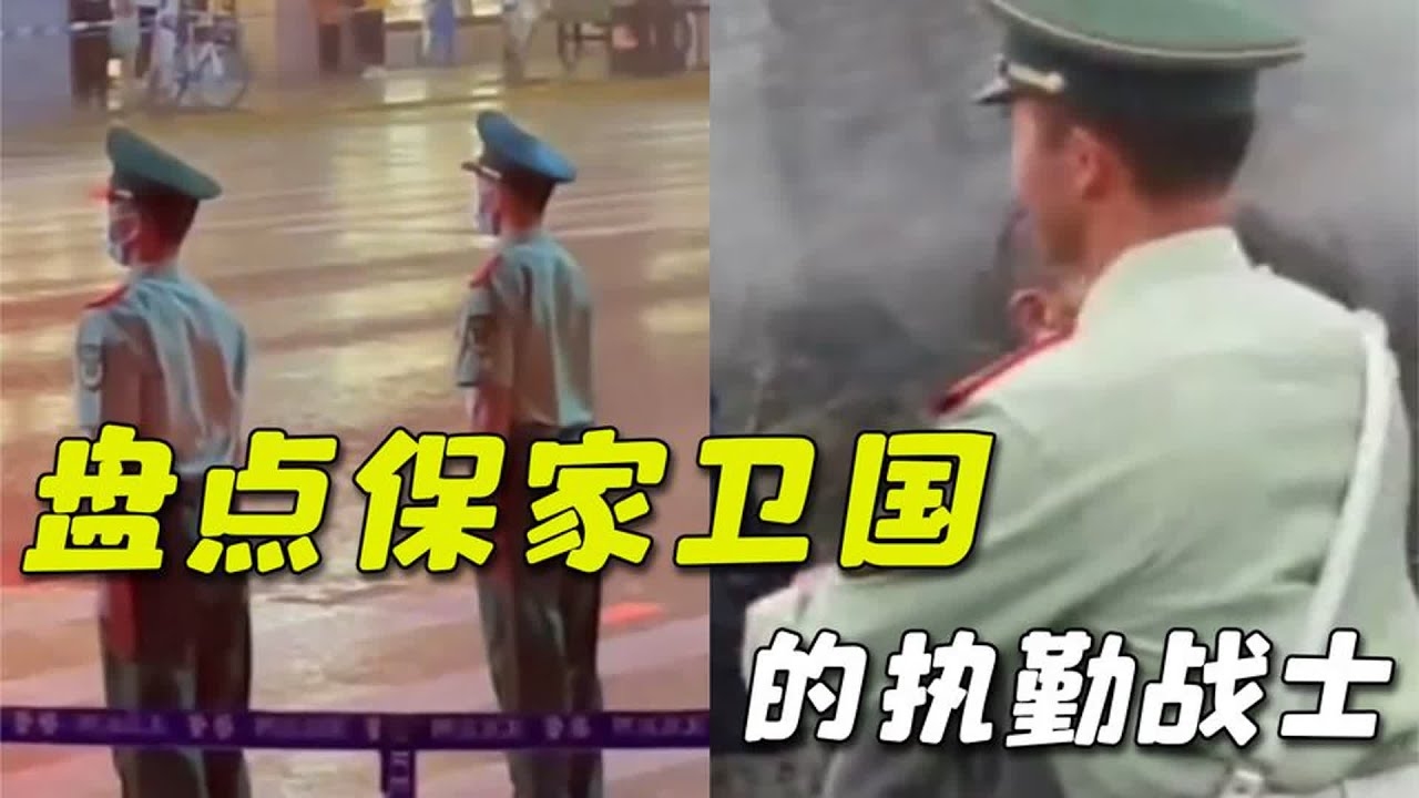 先锋保国卫家园，生肖探秘插图