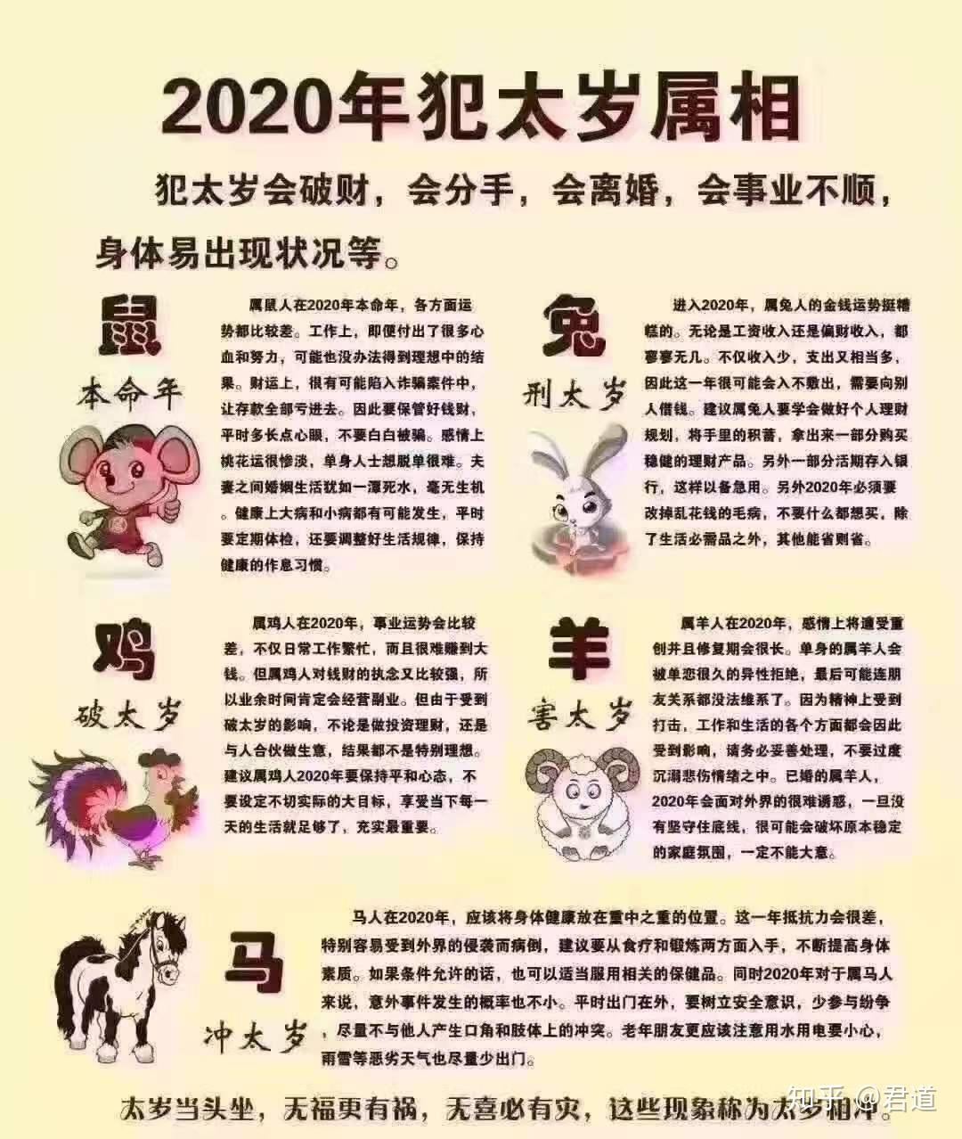 凹凸不平与生肖之谜插图 凹凸不平与生肖之谜插图