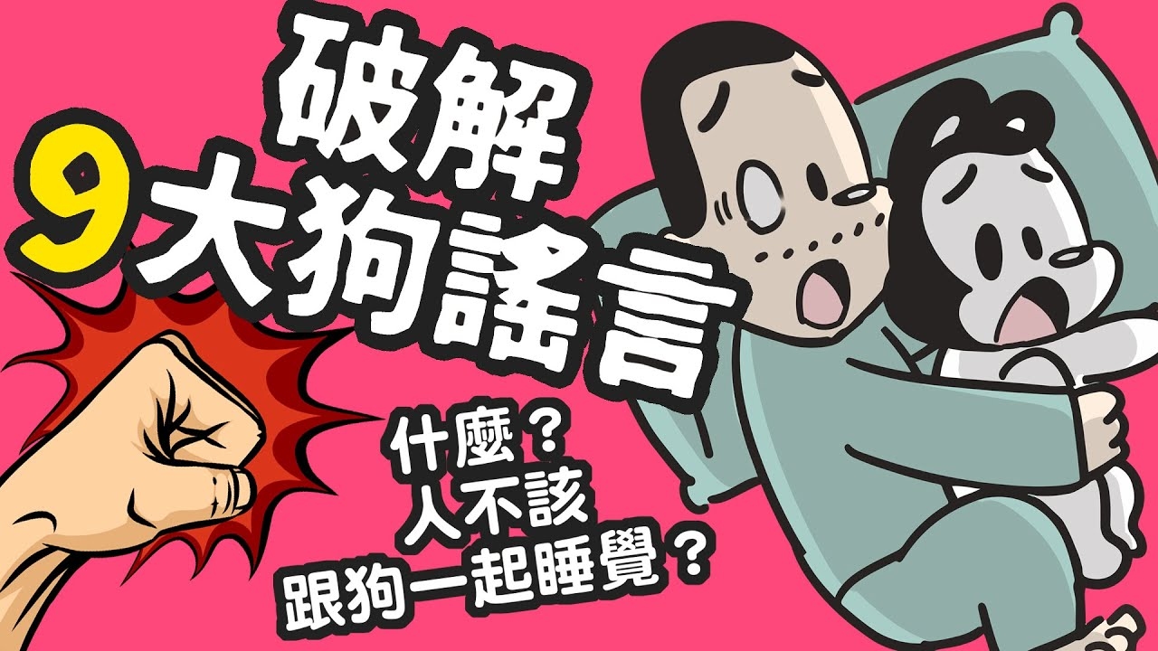 苟延残喘猜生肖主流答案是狗插图