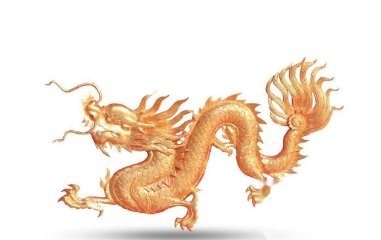 丹凤朝阳代表生肖，龙插图