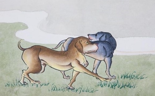 属狗的出生年份与生肖文化解析插图