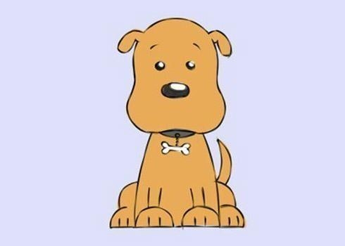 属猪的今年多大年纪？插图