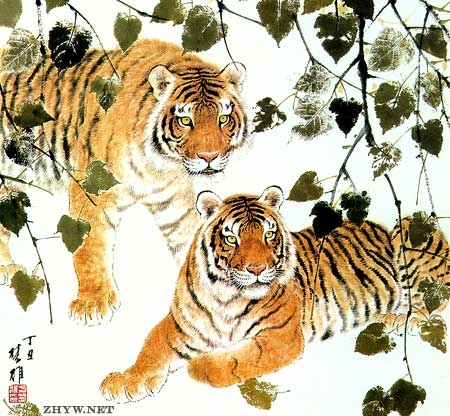 属猪的人2013年运程概览插图