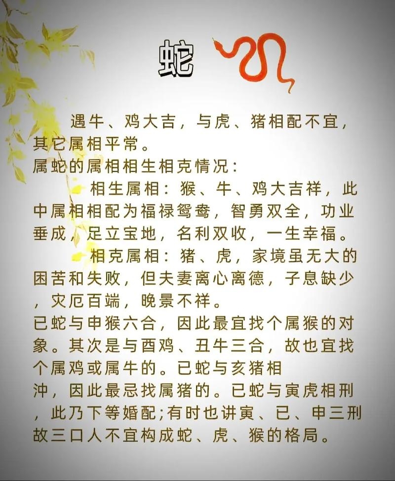 属蛇的属相婚配表,解读蛇年生肖的婚姻配对奥秘插图 属蛇的属相婚配表,解读蛇年生肖的婚姻配对奥秘插图