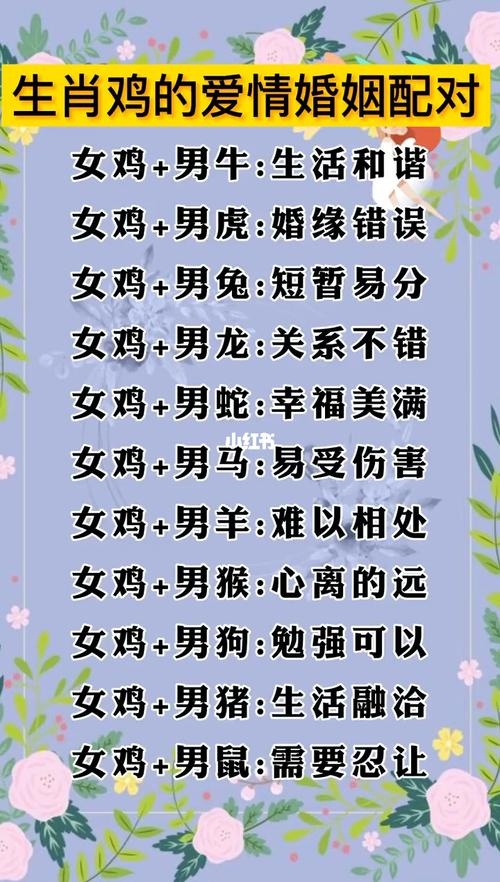 属鸡的属相婚配表,解读生肖与婚姻的关系插图 属鸡的属相婚配表,解读生肖与婚姻的关系插图