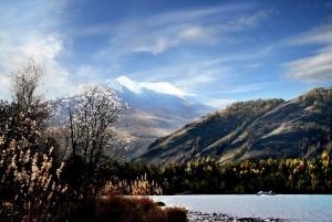 秋霜冬雪生肖探秘插图