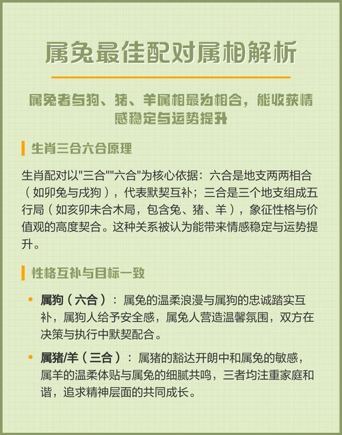 属兔的最佳配对属相探讨插图