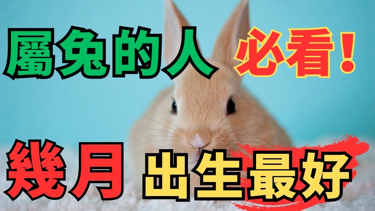 属兔的最佳月份与命运插图