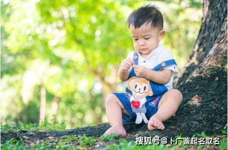 男婴儿名字大全，精选与寓意解析插图