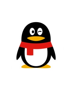 QQ个性网名大全，探索个性与风格的独特标识插图