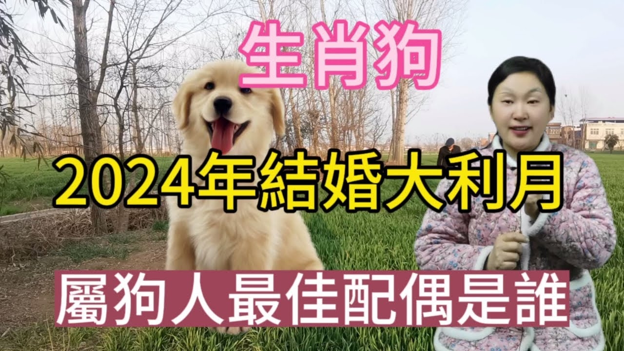 属狗婚姻与命运解析插图