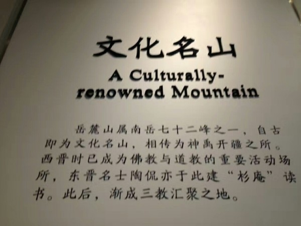 70后，岁月印记在网名中的回响插图