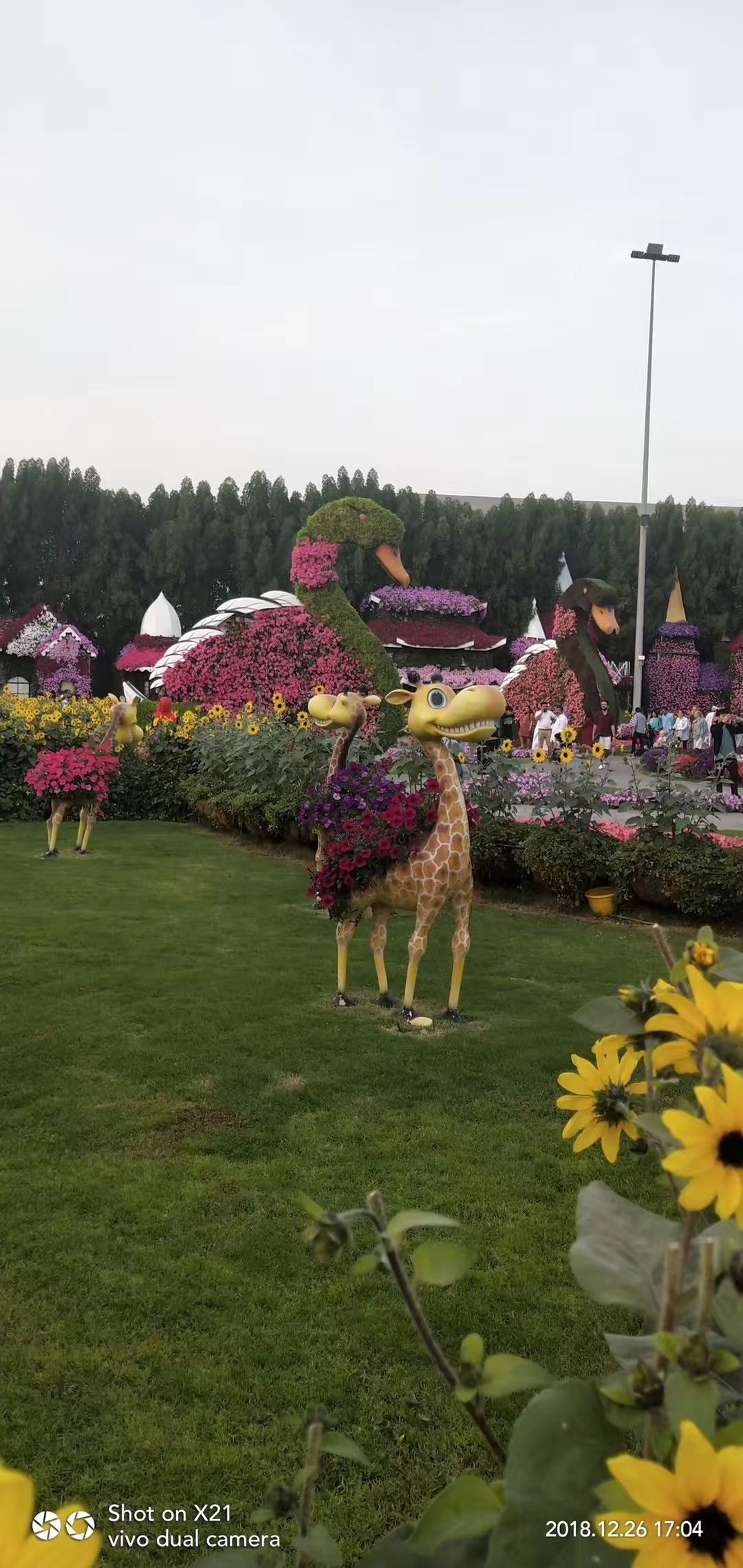 玫瑰花园，探索虚拟花园的奇妙之旅插图