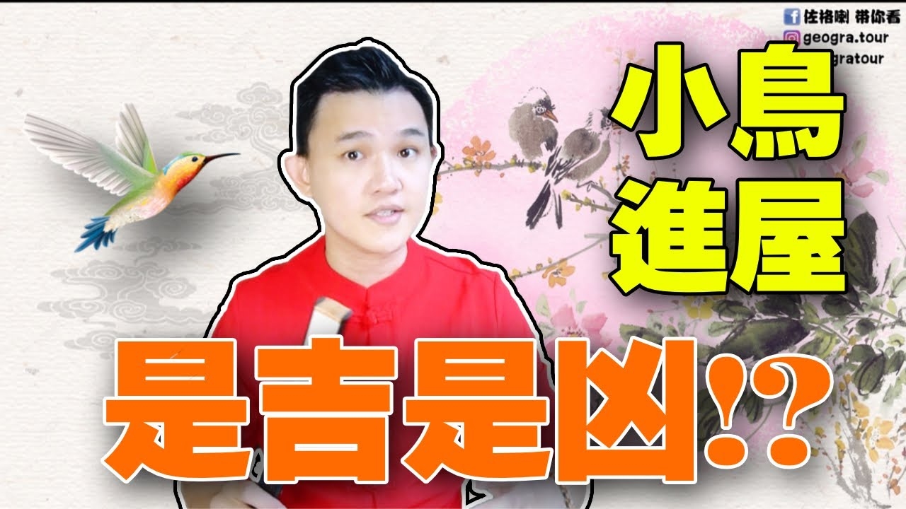 喜鹊叫声的吉凶预兆，十二时辰详解与女性视角解读插图