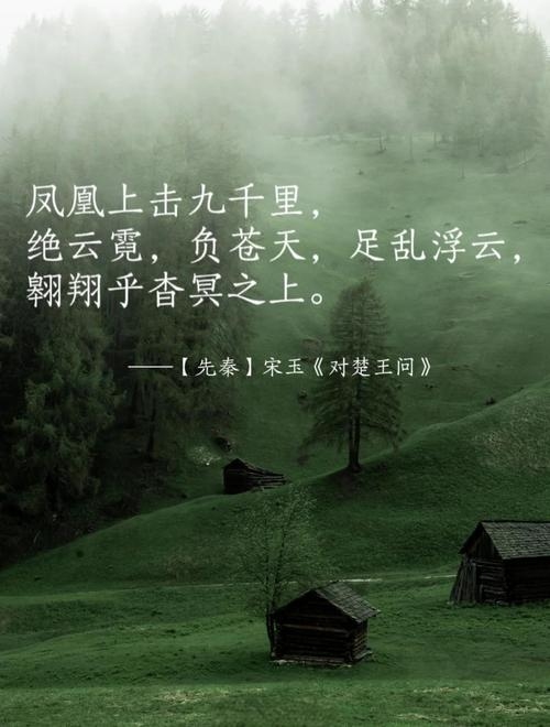 凤舞九天，一其随之—探寻凤一其随的深层含义插图