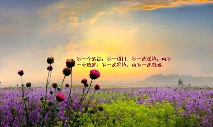 寻觅静谧，打造一个安静角落的网名插图