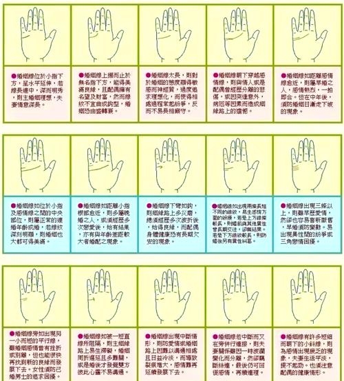 揭秘看手相算命，图解你的未来命运插图