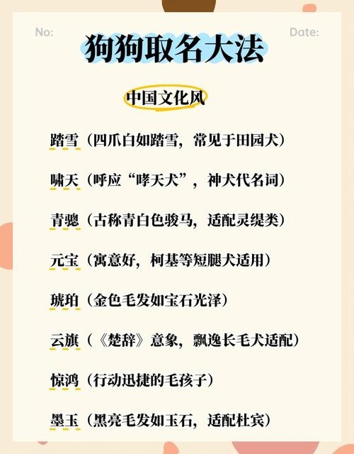 萌宠命名艺术，打造独一无二的好听宠物名字插图