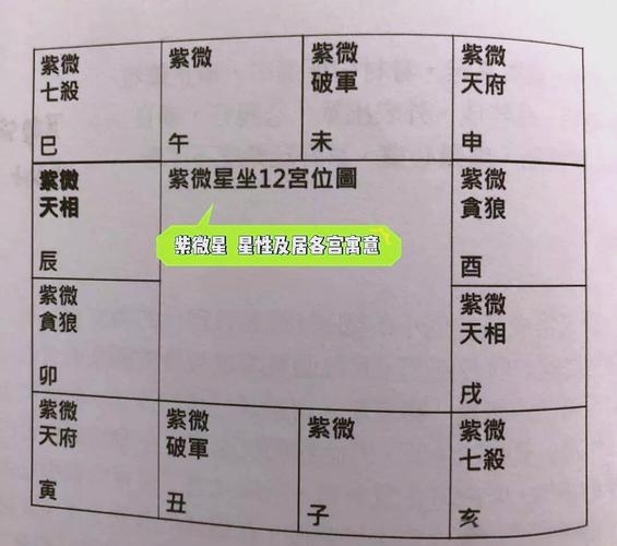 紫薇命盘主星解读法插图 紫薇命盘主星解读法插图