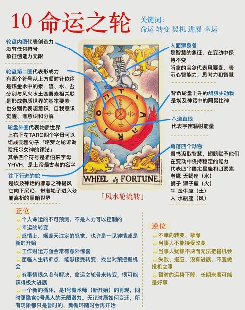 探索命运之路，Destiny命理网解析插图