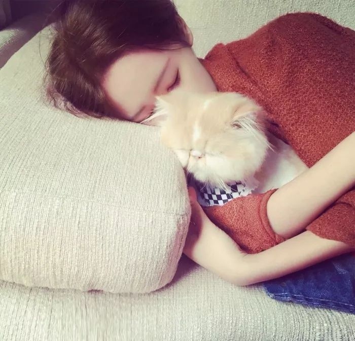 微信名字大全女生，个性与风格的完美融合插图