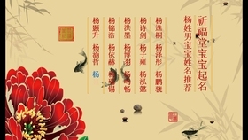 杨姓名字大全，探寻古典与现代的和谐之美插图