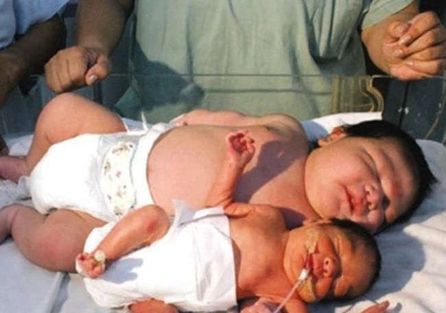 03年出生的朋友们，今年你们多大了？插图