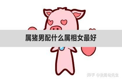 属猪女的最佳婚配插图