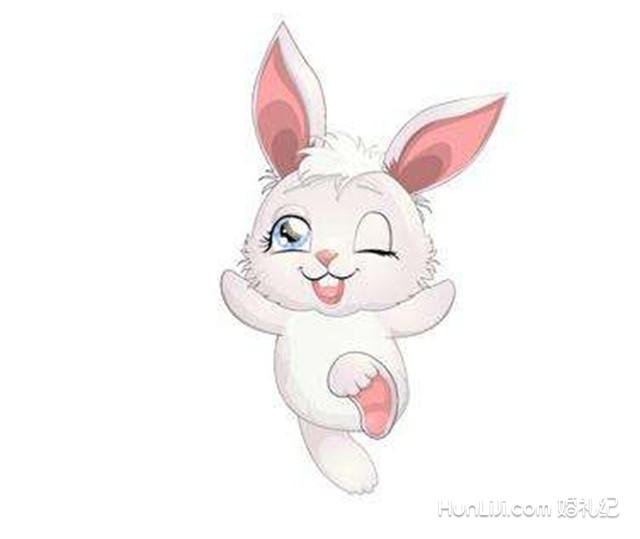 属兔女的最佳配偶属相插图