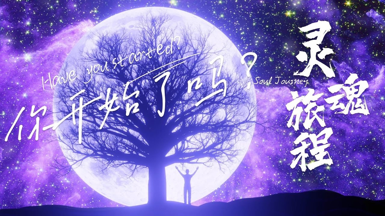 探索你的前世，一场灵魂的奇幻之旅插图