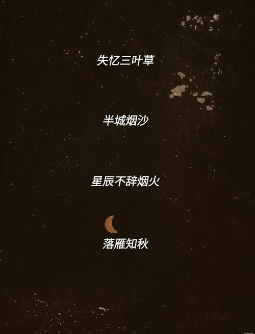 QQ女名，点亮温柔星海，共赴专属诗韵之旅插图