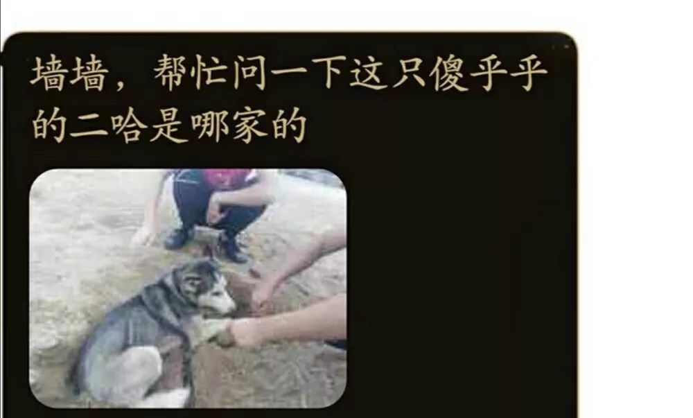 探索那些令人心动的名字插图